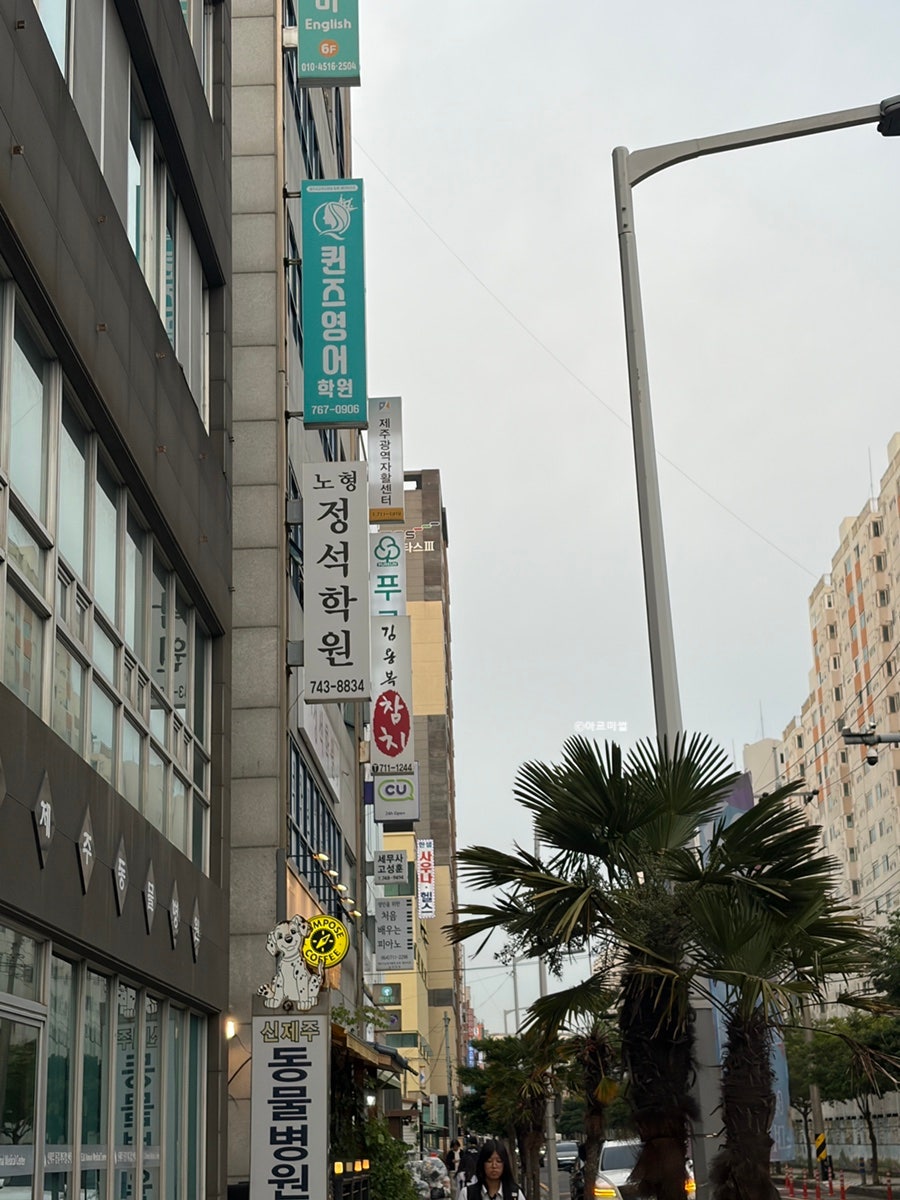 김용복참치 사진 4