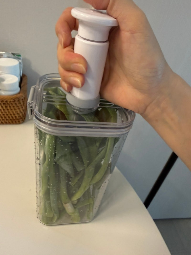 다이소 진공 밀폐용기 실 사용후기