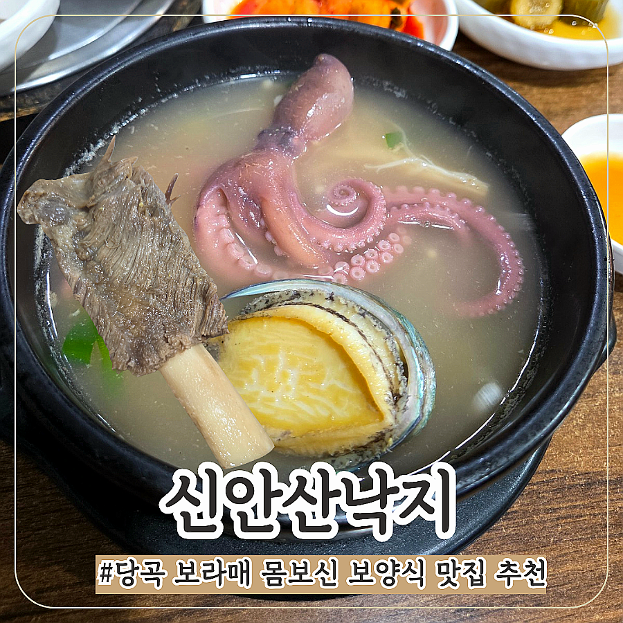 신안산낙지 사진 1