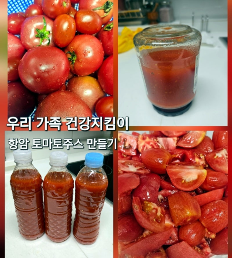 [건강 레시피]우리 가족 건강지킴이 항암 토마토 주스 만들기 (마늘, 양파, 올리브오일 궁합)