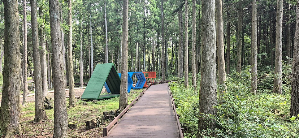 섶섬지기 사진 5