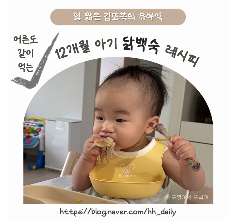 안먹는 아기 완밥한 11개월 삼계탕 레시피(전기밥솥 닭백숙, 첫 녹두, 어른도 같이 먹어요)