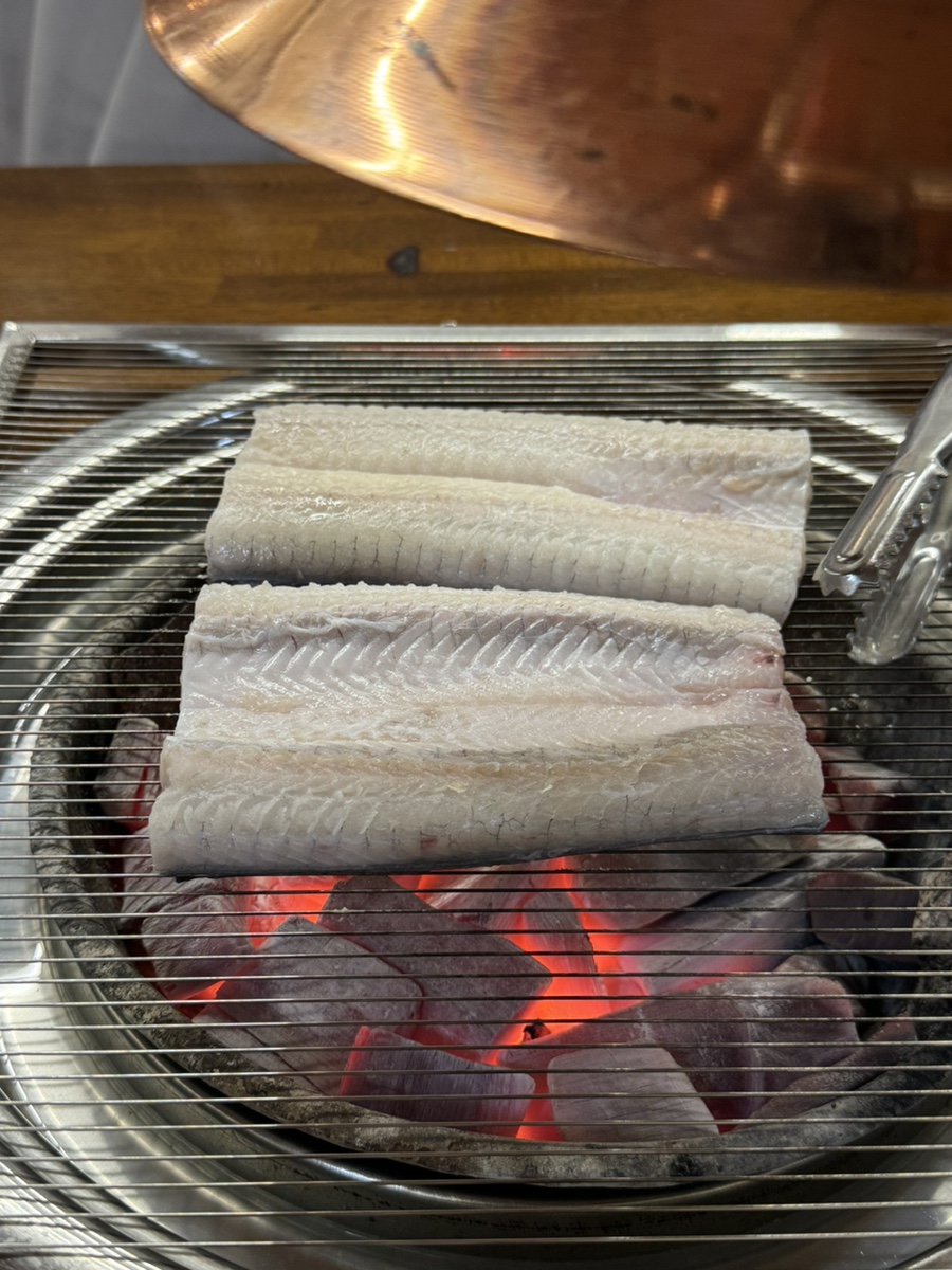 처음본 활 민물장어 사진 5