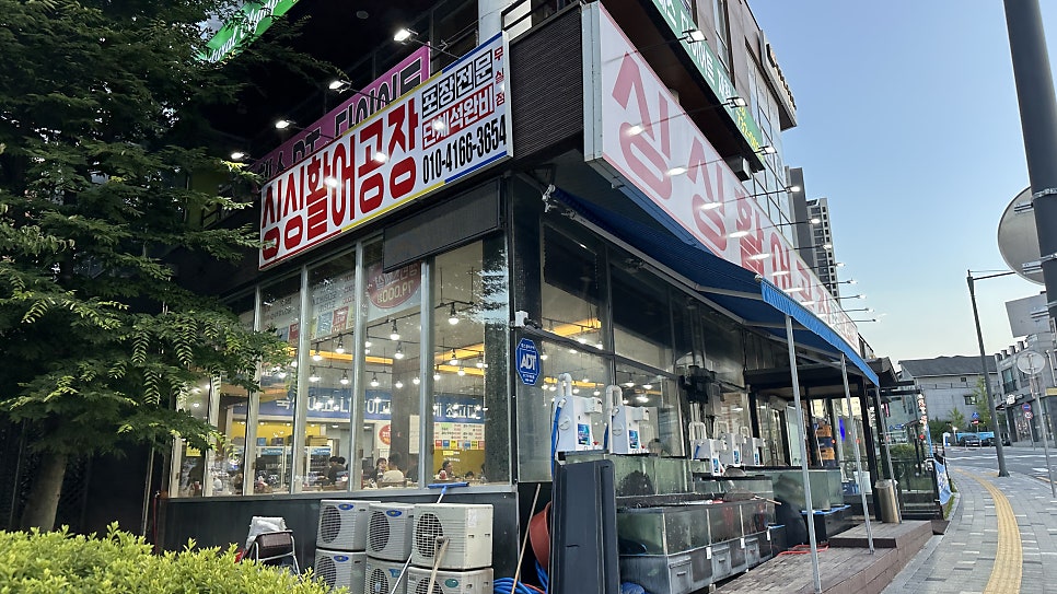 싱싱활어공장 무실점 사진 4