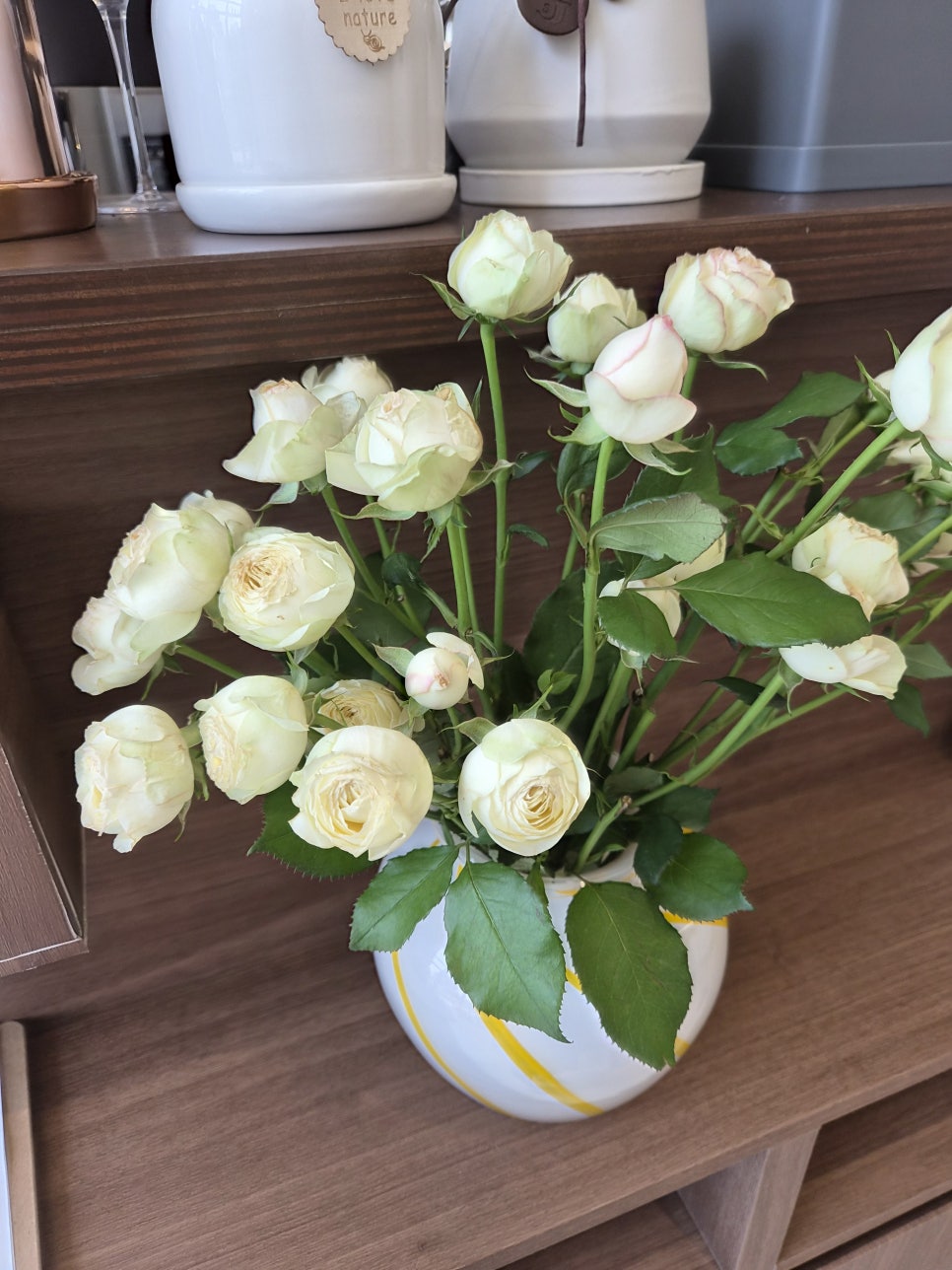 어피 사진 1