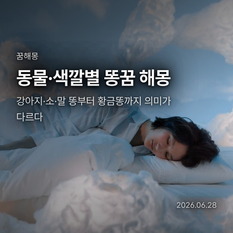 동물 똥꿈 해몽 총정리, 강아지·소·말 똥부터 황금똥까지 의미가 다르다