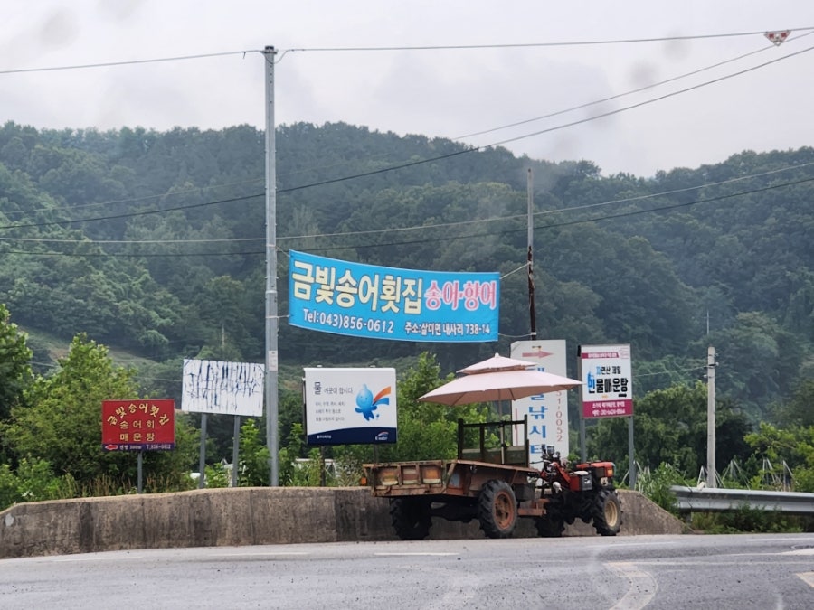 금빛송어횟집 사진 2