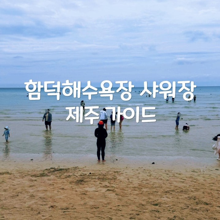 함덕해수욕장 샤워장과 반려동물 구역 현장에서 직접 확인했어요
