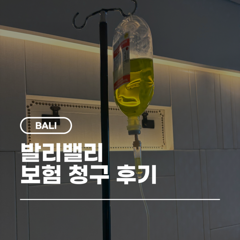 발리 신혼여행 : 발리밸리 카카오페이 여행자보험 청구 (아야나 리조트 의료진 서비스)