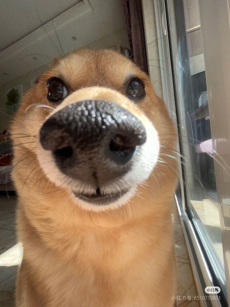 보리밥상 사진 1