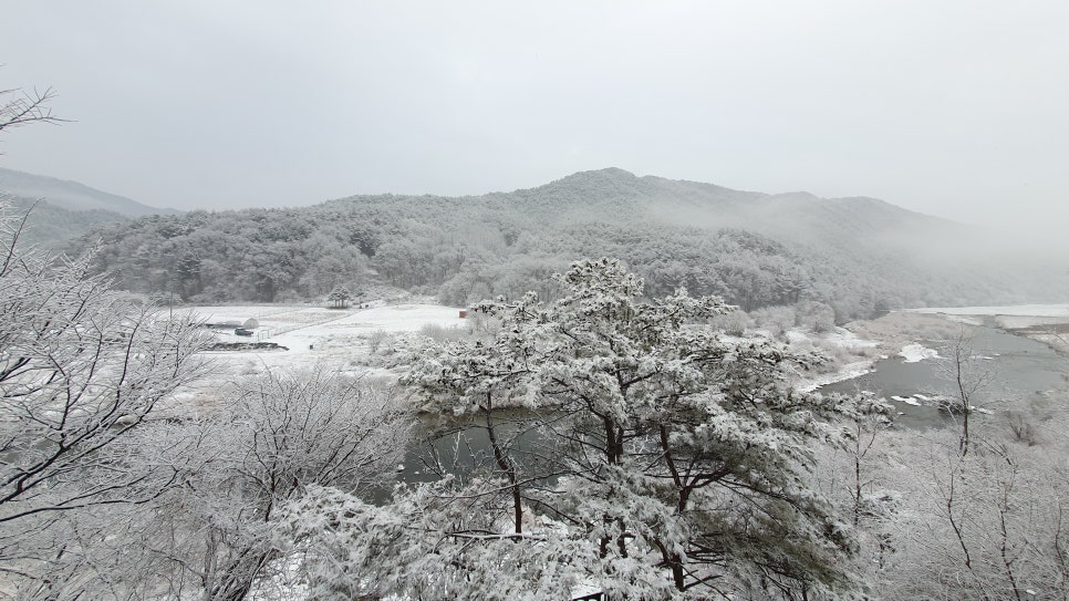영월강변꽃바위펜션 사진 4