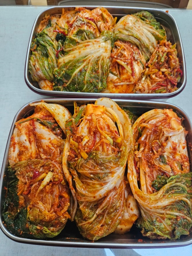 장마대비 포기배추김치 담그기 한망세포기 여름 배추김치 레시피