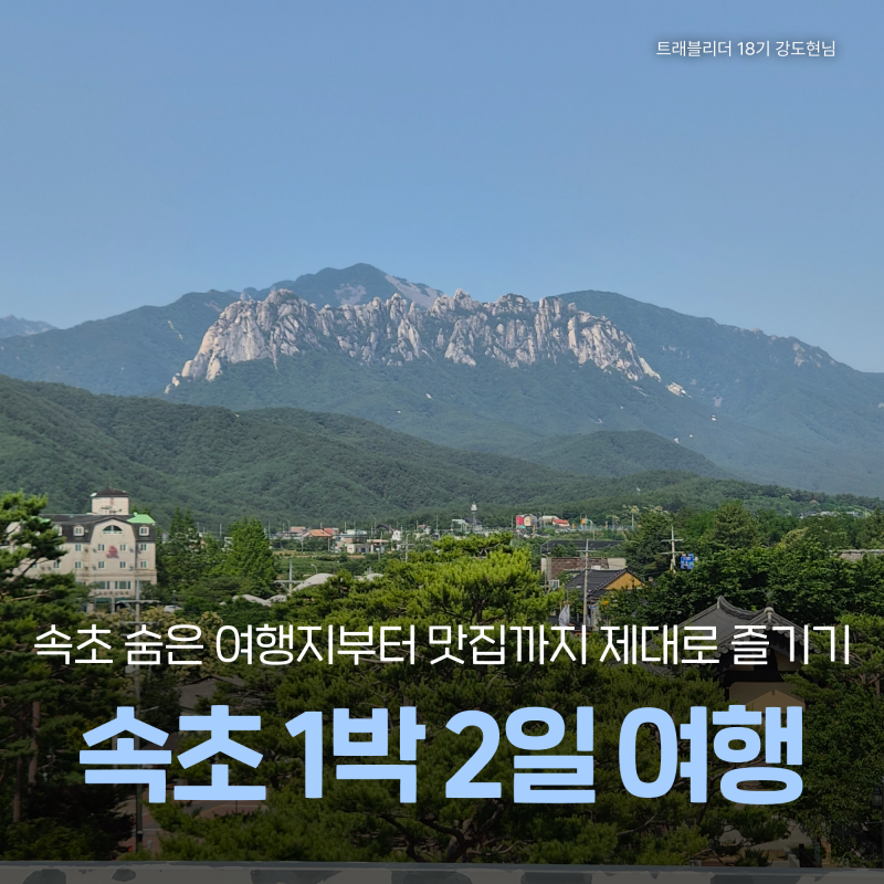 여름 속초 가볼만한곳 :: 뮤지엄엑스, 속초해수욕장 야경, 속초 로컬맛집 1박 2일 코스 추천