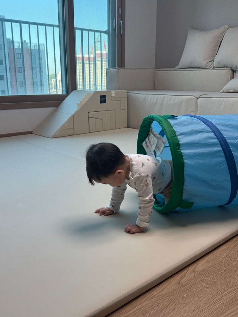 [이케아 Ikea] 미세 플라스틱 걱정 없는 돌전후 아기 장난감 | 드베리모스 놀이텐트, 부사 플레....