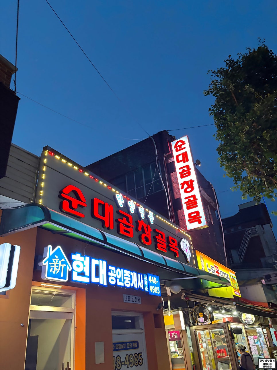 꽃돼지 사진 1