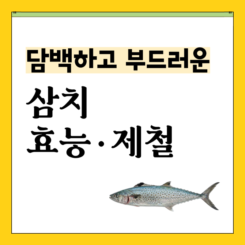 담백하고 부드러운 '삼치' 효능·제철·금어기·부작용 총정리