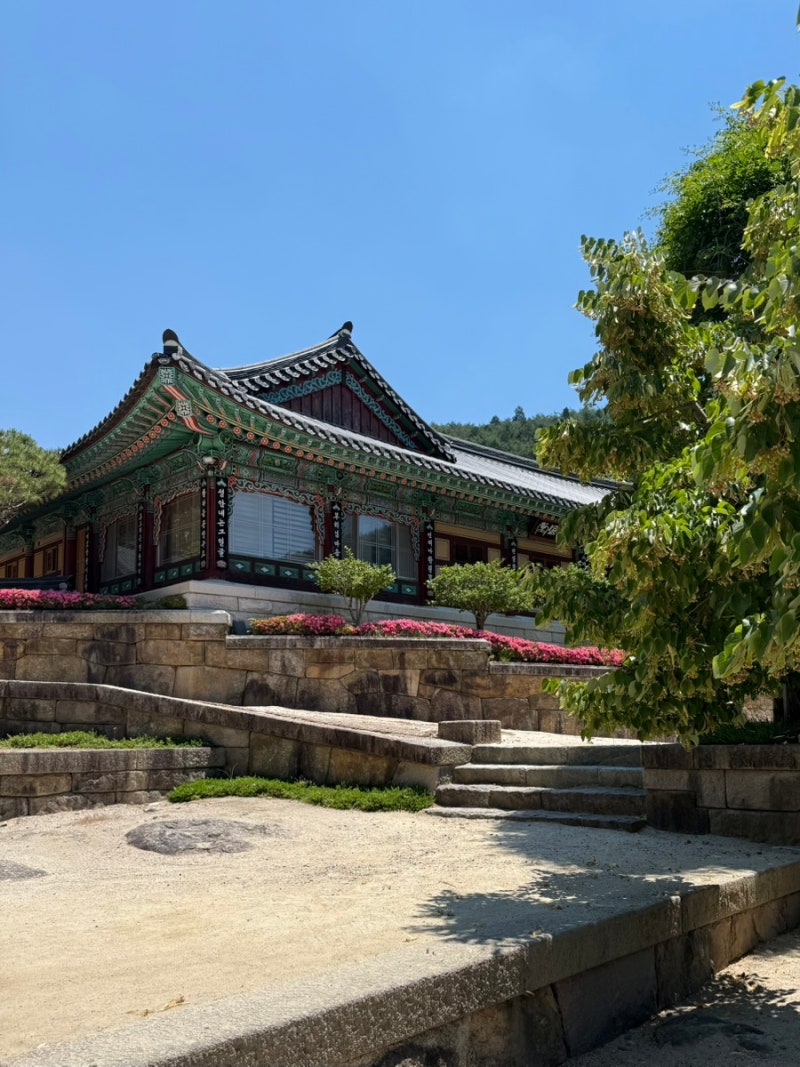 260613~15:) 구례. 하동 여행 2-3일차(슬로우하동/쌍계명사/지리산고사리육개장/화엄사/행운분식....