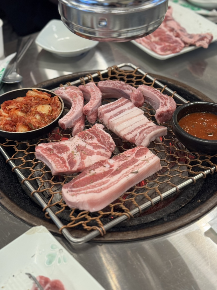 호돈 사진 6