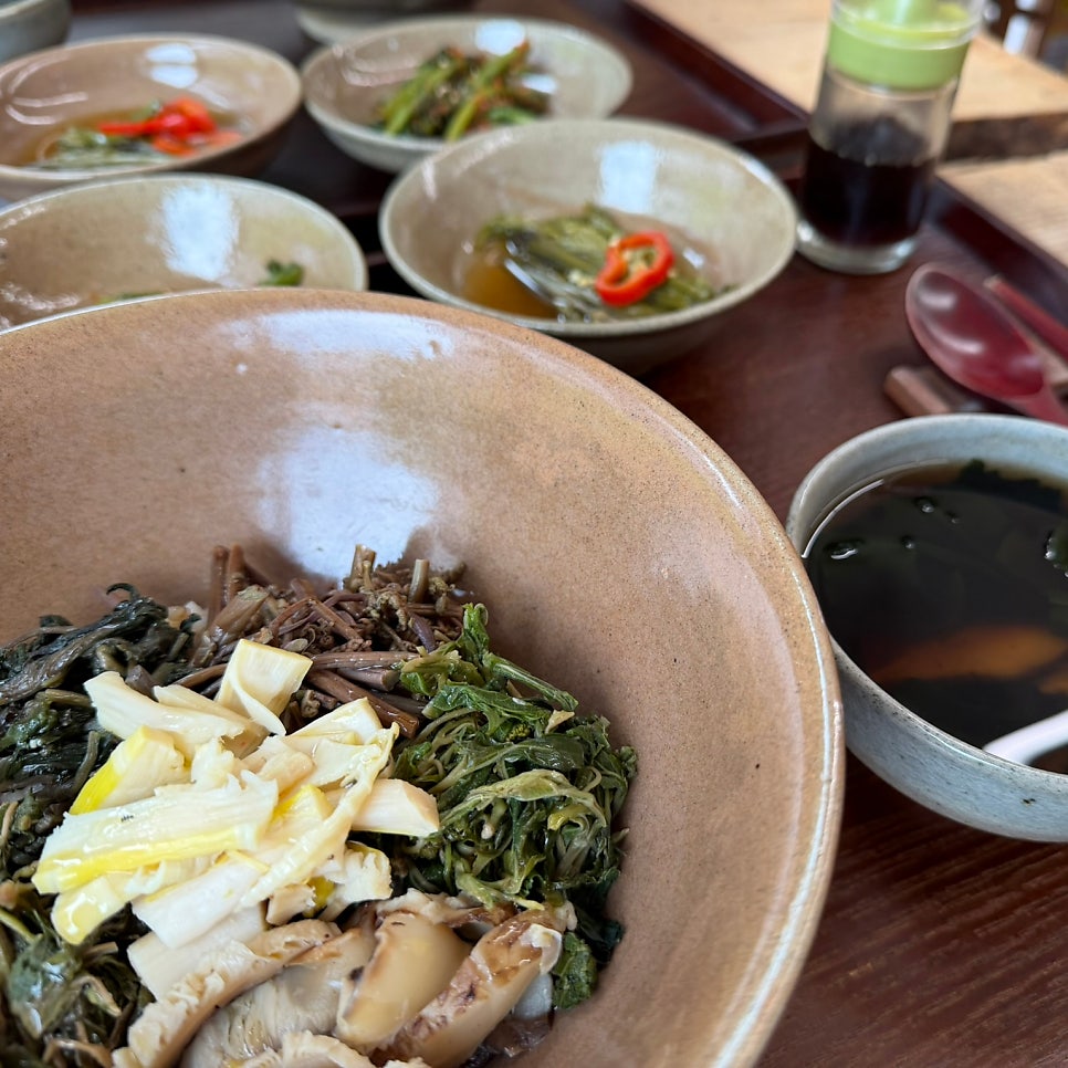 지리산산나물 모담산 사진 6
