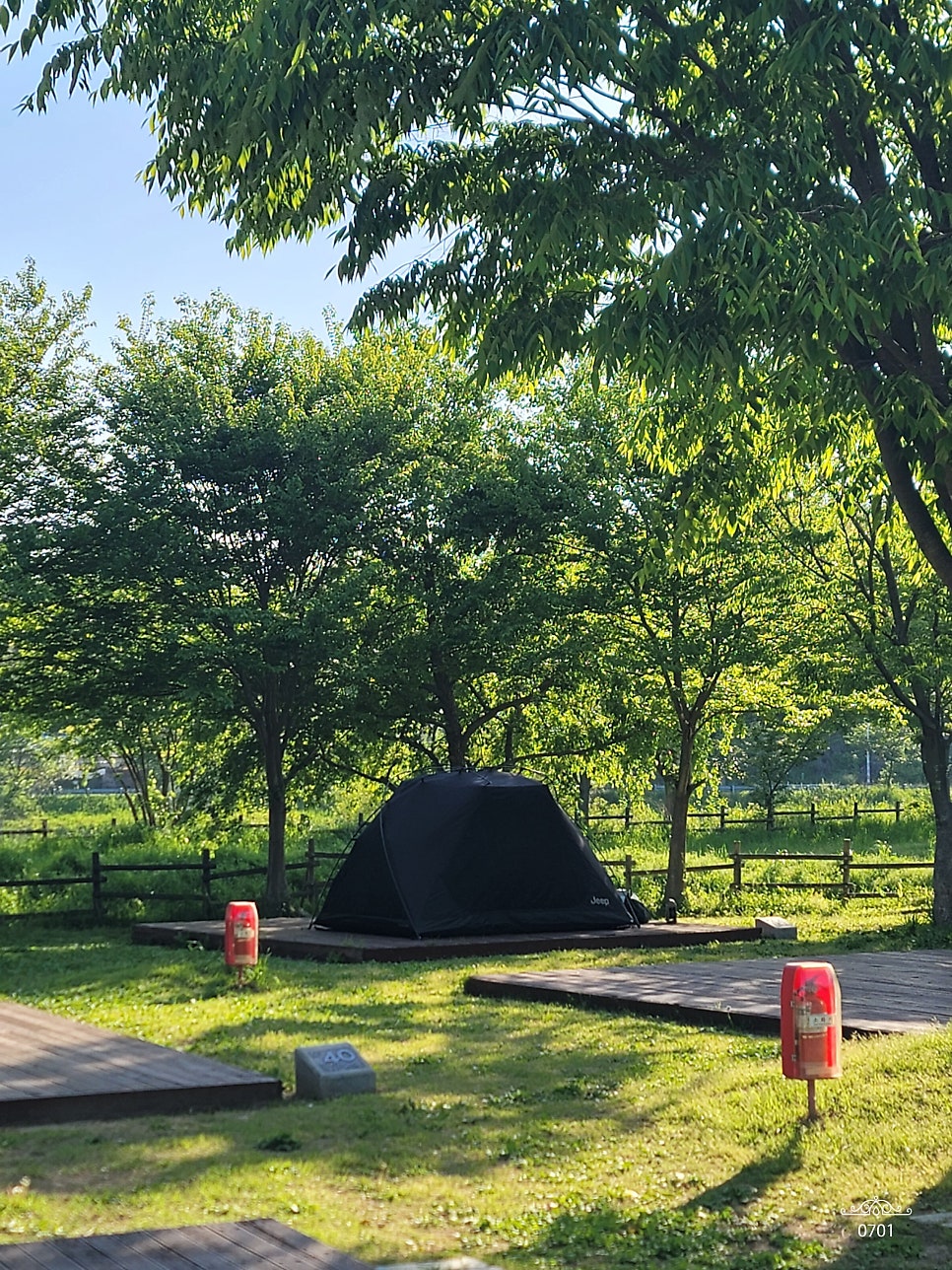 영산강 승촌보 캠핑장 사진 4