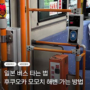 [일본 버스 타는법] 현금결제 방법, 후쿠오카 모모치 해변 버스로 가는 법