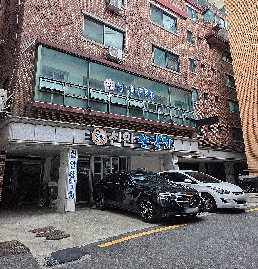신안산낙지 사진 3
