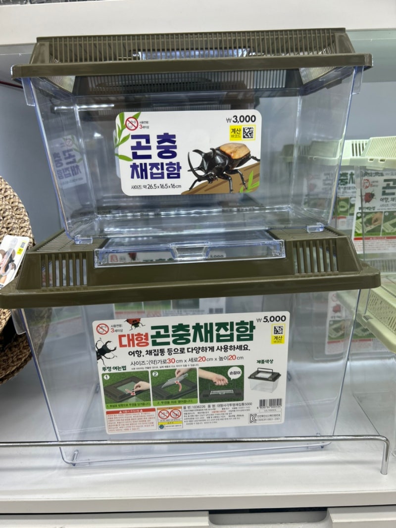 다이소 곤충채집함 종류 총정리 1,000원부터 5,000원까지