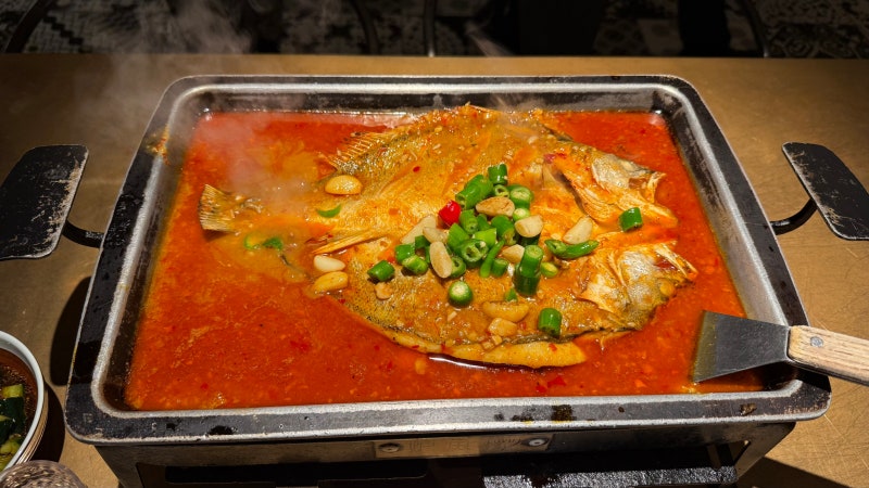 [칭다오 여행] 여자 혼자 3박 4일 칭다오 | 칭다오 맛집 후기 (몰리티, 모어요거트, 루위, 메이....