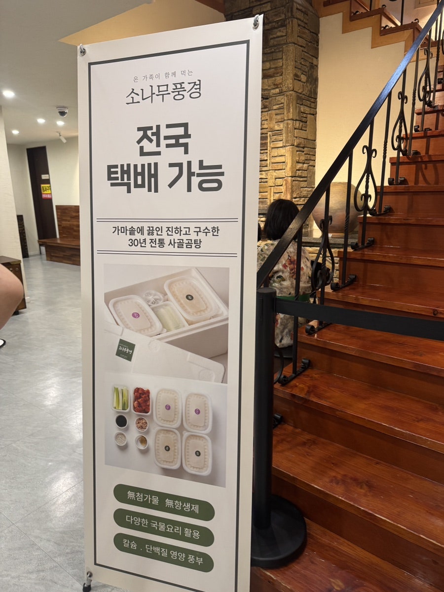 소나무풍경 사진 6