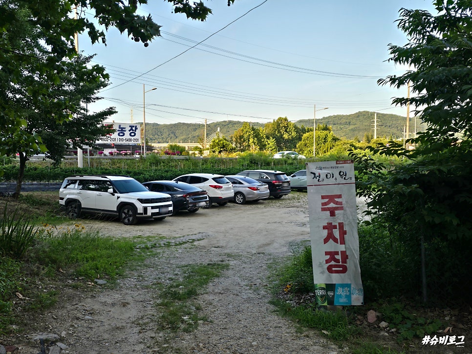 전미원 사진 4