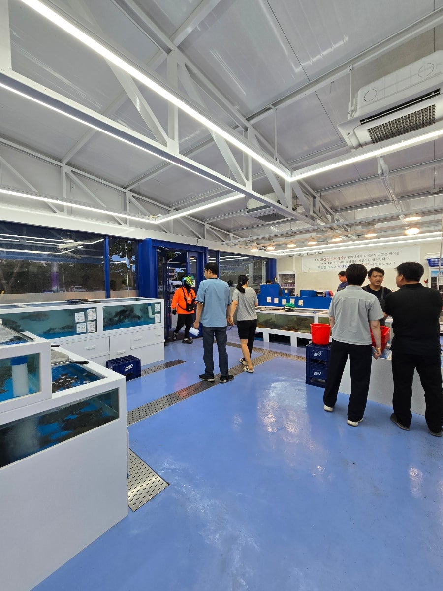 도심속수산시장 사진 3