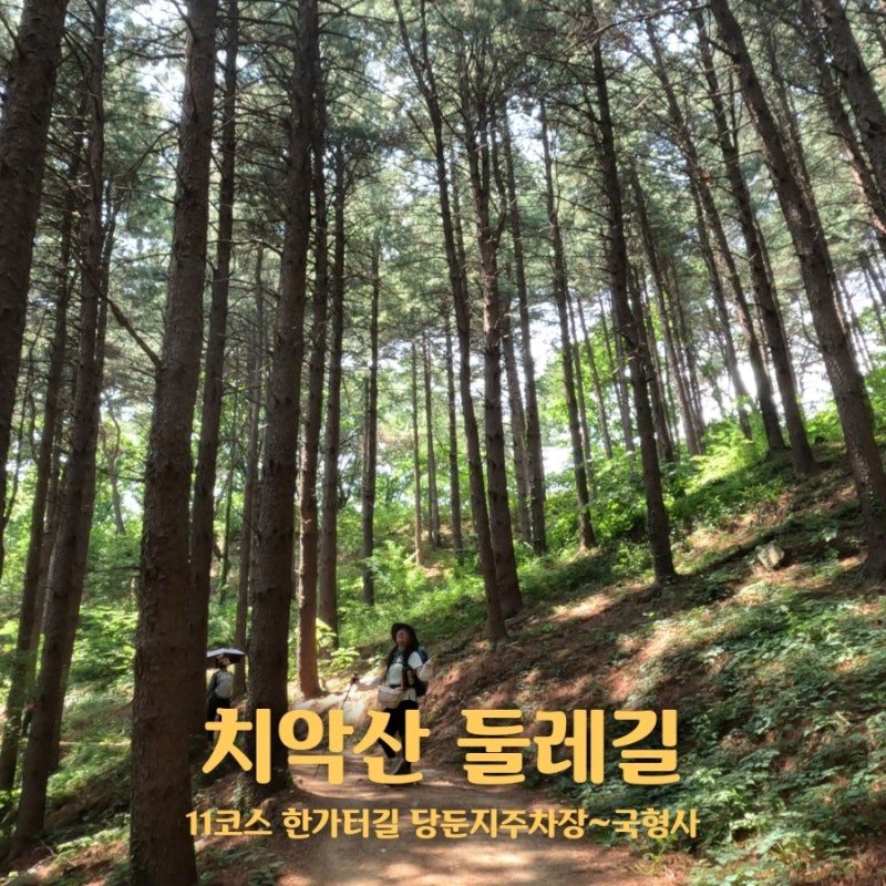 원주 가볼만한곳 치악산 둘레길 11코스 한가터길 여행추천정보