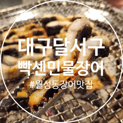 대구 월성동장어 맛집 빡센민물장어 신월성점