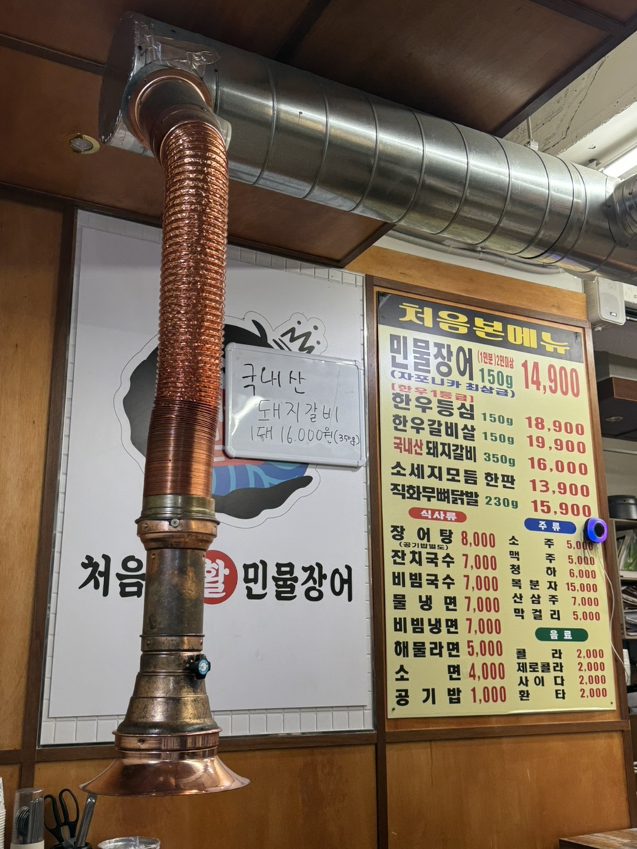 처음본 활 민물장어 사진 2