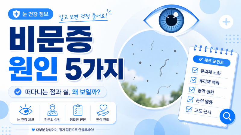 비문증 원인 5가지, 눈에 날파리 보일 때 안과 가야 할 증상