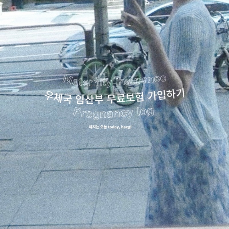 우체국 임산부 무료보험 다태아(쌍둥이) 가입, PC 오류 해결 방법