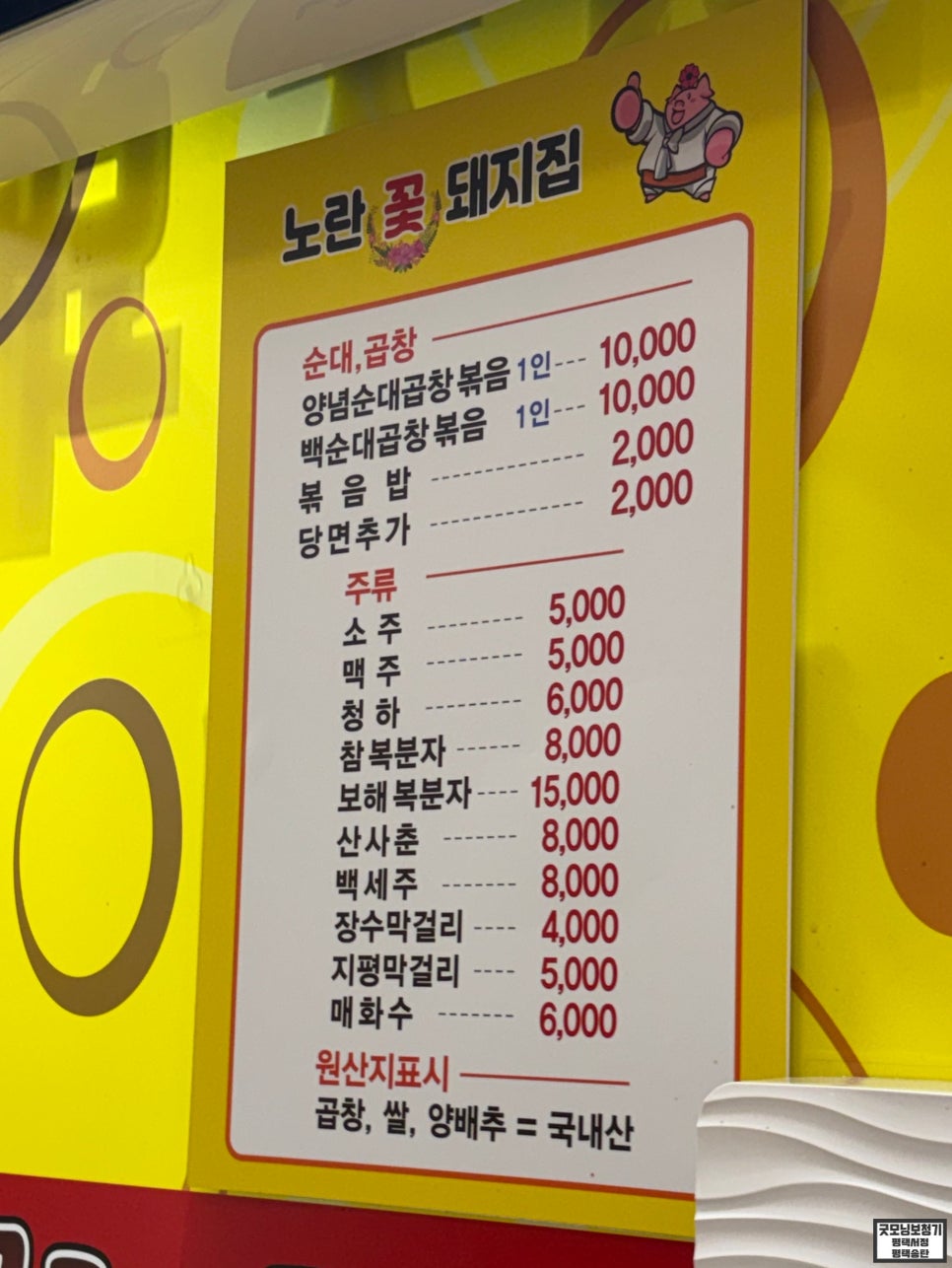 꽃돼지 사진 4