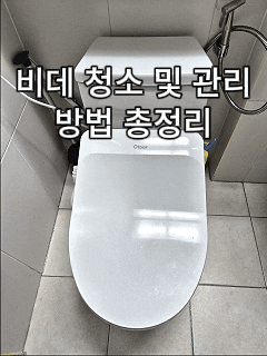 비데 청소 방법 총정리｜비데 청소 주기, 분리 방법, 노즐 청소까지 쉽게 관리하기