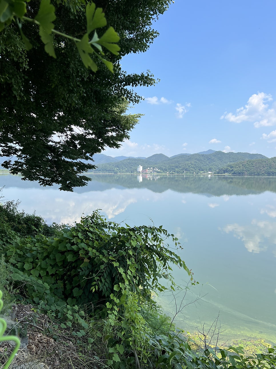 석림옛집 사진 5