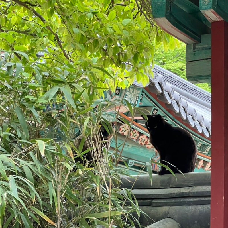 경주 불국사 석굴암 기와불사 하는법, 관람 소요시간, 주차