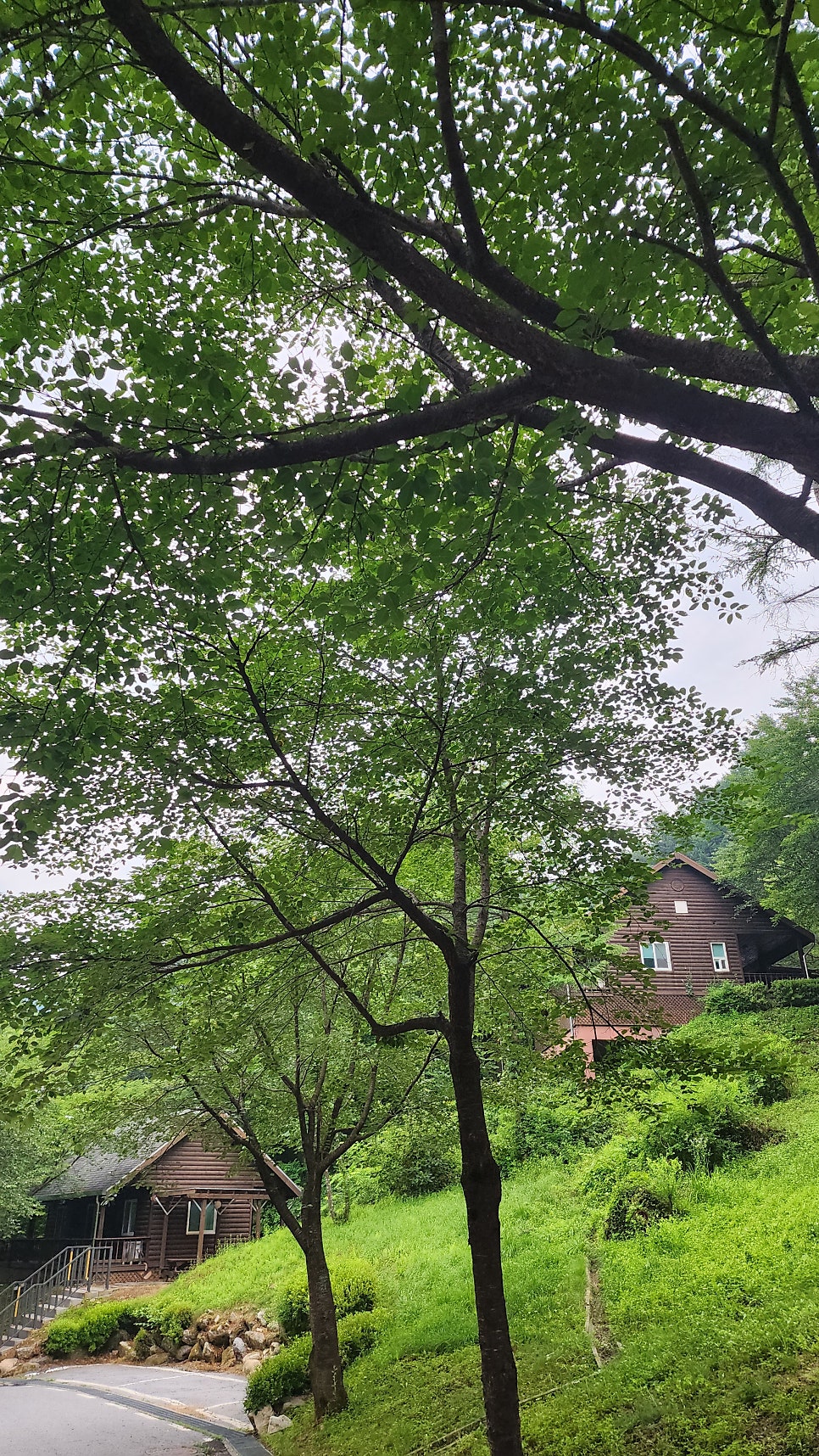 연인산다목적캠핑장 오토캠핑장 사진 5