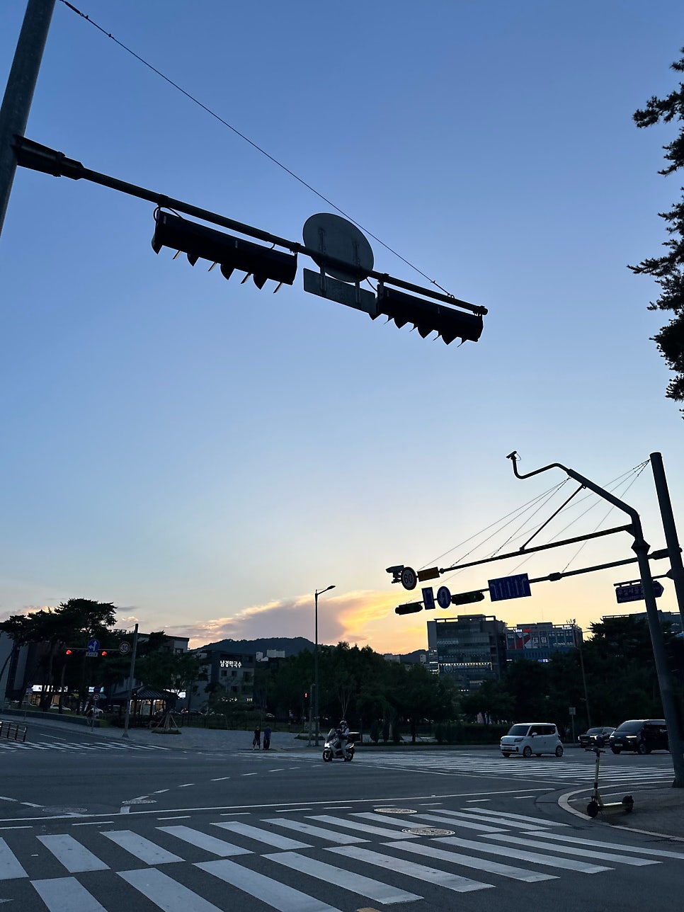 싱싱활어공장 무실점 사진 3