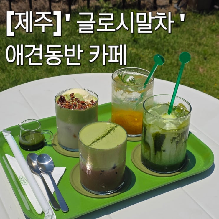 [제주] '글로시<b>말차</b>' 애견동반 카페