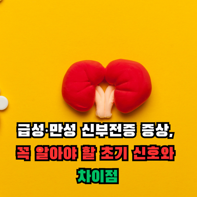 급성 만성 신부전증 증상, 꼭 알아야 할 초기 신호와 차이점