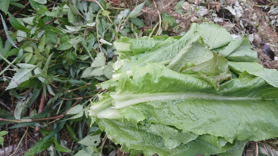 머물다 사진 1
