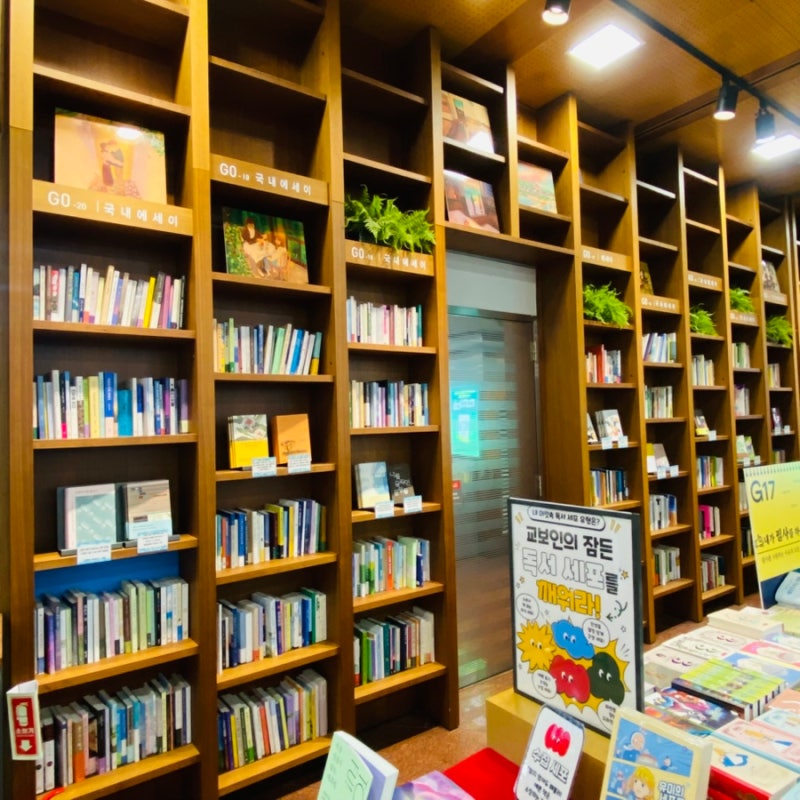 강남 가볼만한 곳 / 교보문고 강남점, 강남 실내데이트