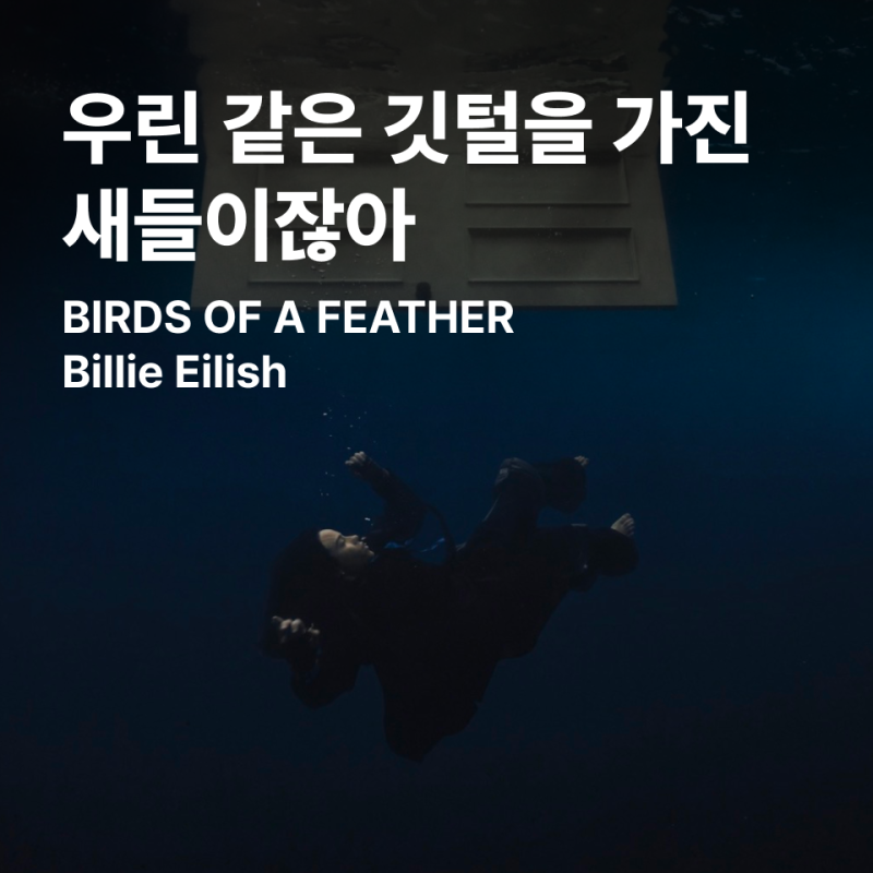BIRDS OF A FEATHER - Billie Eilish 가사 해석