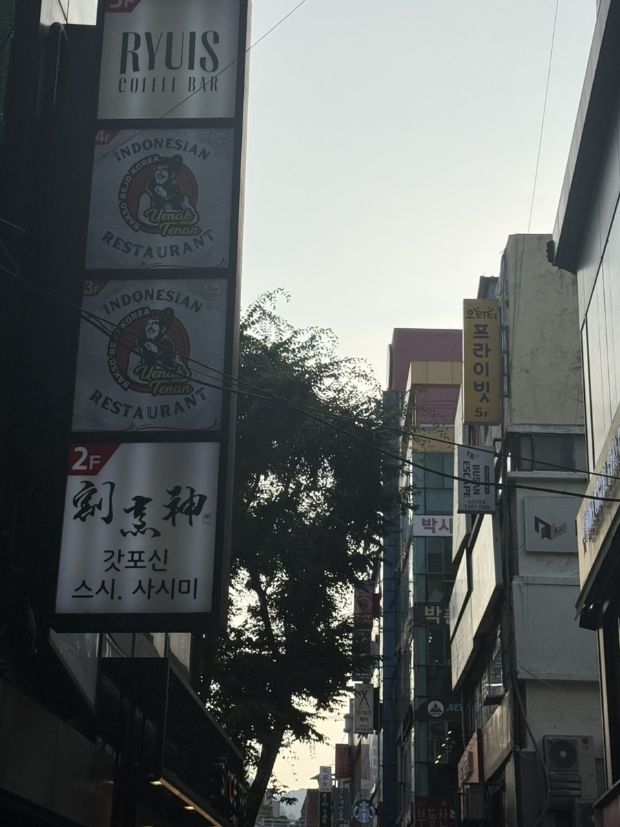 갓포신 사진 2