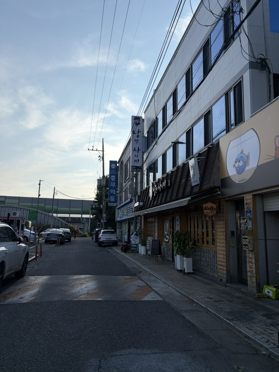 낭만사시미 사진 1