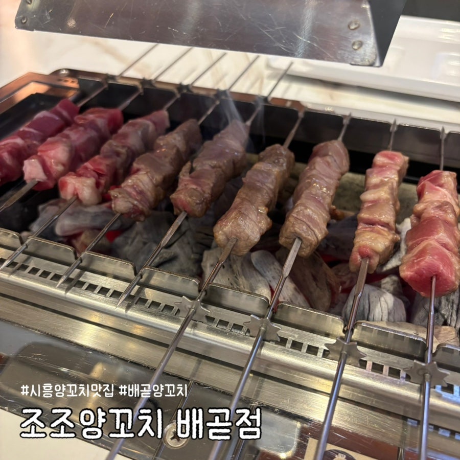 조조양꼬치 배곧2호점 사진 1